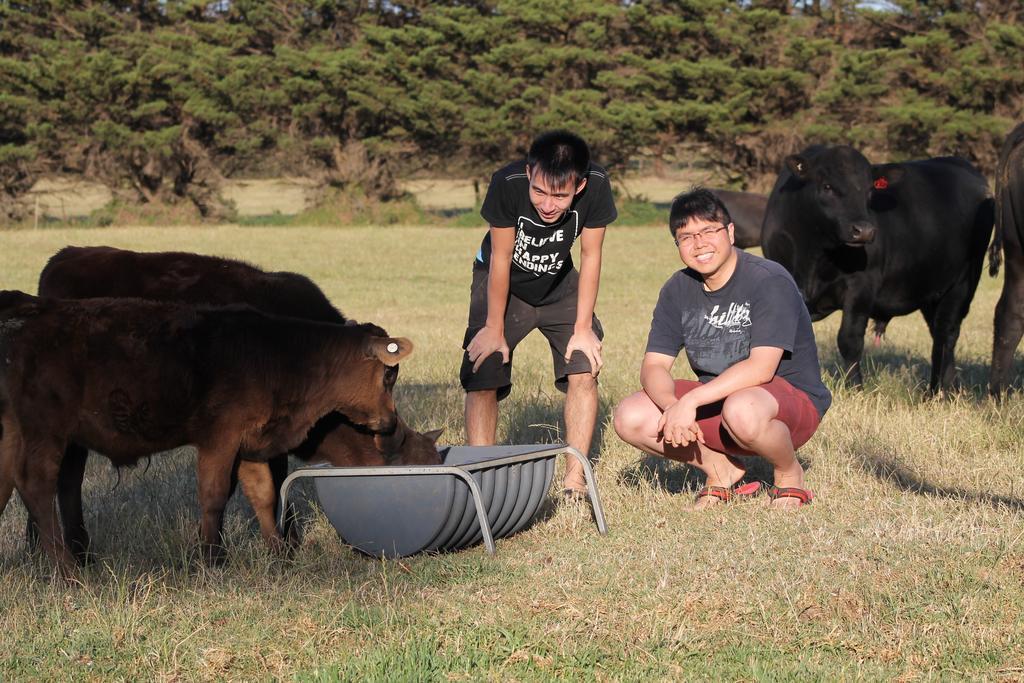 Bimbadeen Phillip Island Farm Retreats Ventnor Extérieur photo