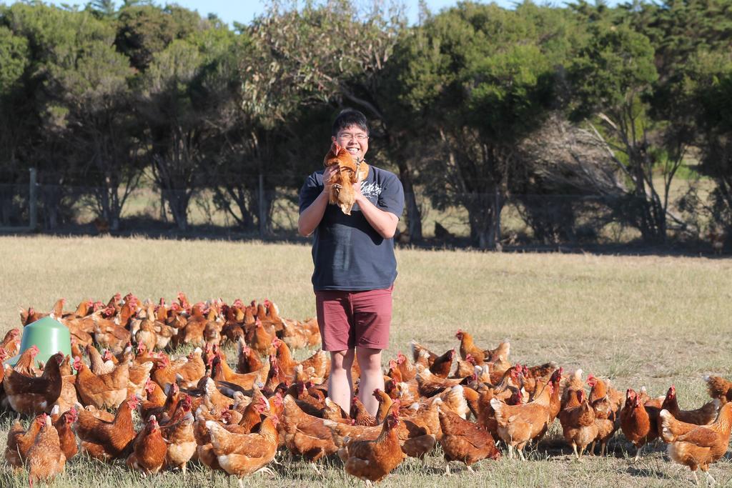 Bimbadeen Phillip Island Farm Retreats Ventnor Extérieur photo